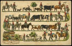 Gruss aus den Bergen. Souvenir des Montagnes. 
Paysannes de Champéry - Bäuerinnen von Champéry.
