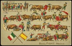 BULL FIGHT Mexico.

