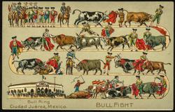 BULL FIGHT  Bull Ring Ciudad Juárez, Mexico.

