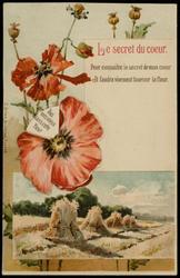 Le secret du coeur. Pour connaître le secret de mon coeur Il faudra vivement tourner la fleur.
