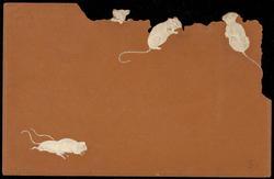 White mice chewing on edges of the postcard.
