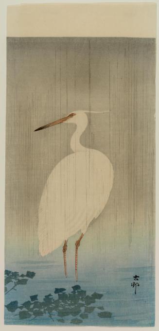 Egret in Rain