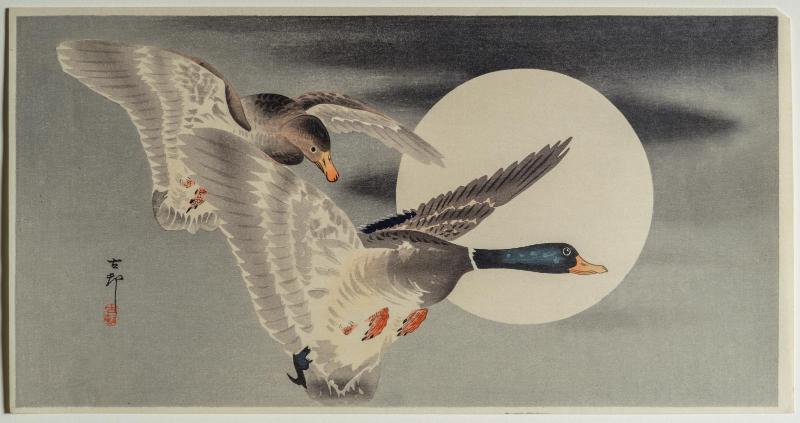Mallard Ducks Flying Past Full Moon