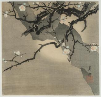 Plum Blossoms at Night