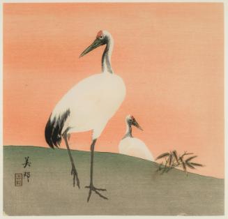 Cranes at Sunset
