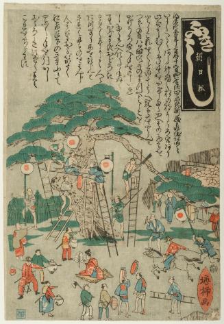 Asahimatsu