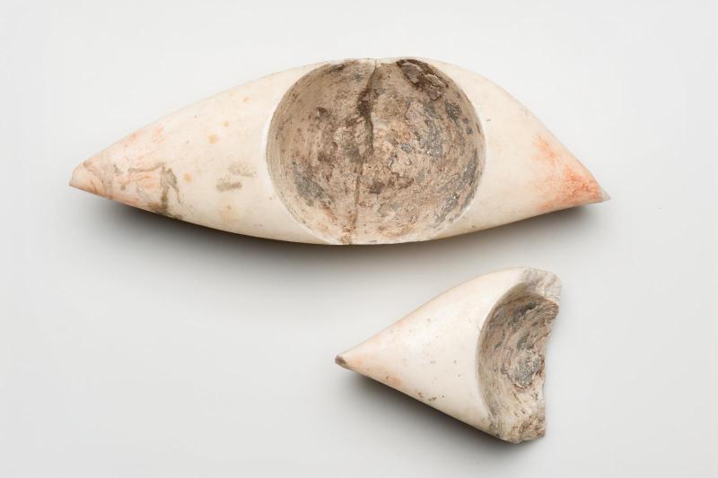 Large eye from a coffin