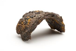 Fragment of a bracelet (?)