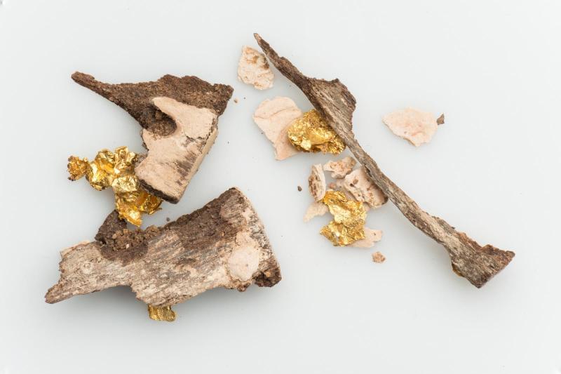 Fragments of a gilded cartouche