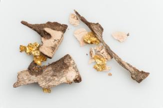 Fragments of a gilded cartouche
