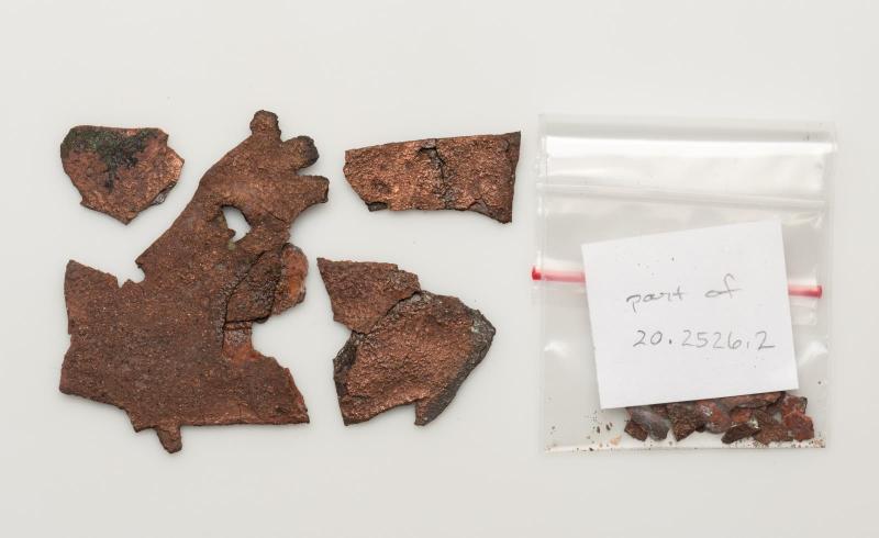 Plaque fragment