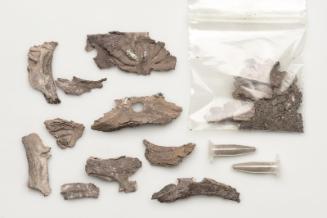 Bracelet fragments