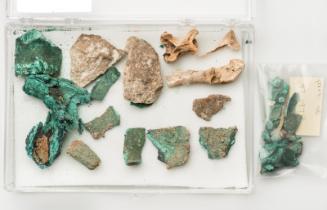 Debris consisting of animal bones, copper and stone