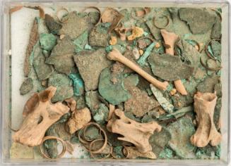 Debris consisting of animal bones, copper and stone