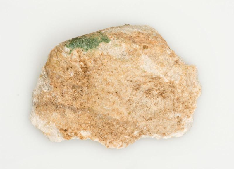 Limestone fragment