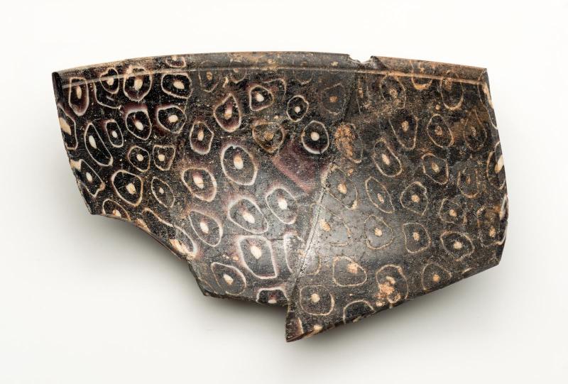 Fragments of vessel