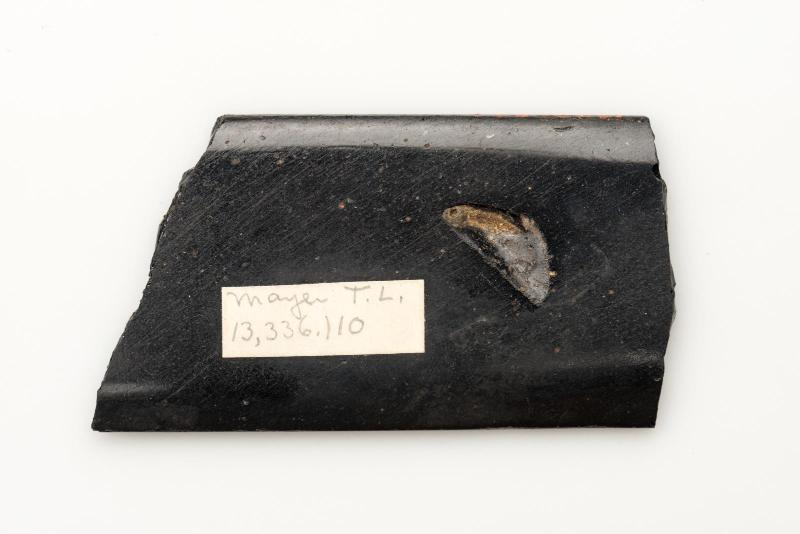Undecorated glass fragment