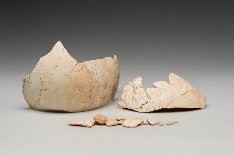 Ostrich egg fragment