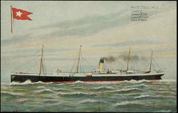 WHITE STAR LINER "SUEVIC"   
TONNAGE 12,531. LENGTH 565 FEET. SPEED 15 KNOTS.