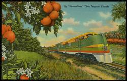 By "Streamliner" Thru Tropical Florida
