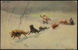 DOG TRAIN. 
Over the frozen North of the American continent the dog sleds form the only means of communication through the long winter months. They cover enormous distances daily, the drivers running on snow-shoes. The dogs are largely bred from the wolf.