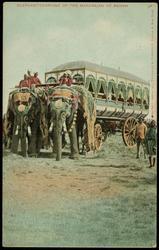 ELEPHANT CARRIAGE OF THE MAHARAJAH OF REWAH.
