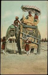 STATE-ELEPHANT OF THE PRINCE OF KHAIRPUR.
