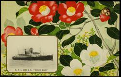 N.Y.K. LINE S.S "SHINYO MARU"
