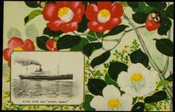 N.Y.K. LINE S.S "SUWA MARU"
