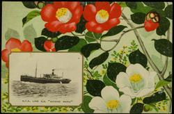 N.Y.K. LINE S.S "KITANO MARU"
