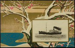 N.Y.K. LINE S.S "KASHIMA MARU"
