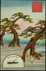 NIPPON YUSEN KAISHA. [Tall trees]
