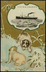 Nippon Yusen Kaisha S.S. "YAMASHIRO MARU."
