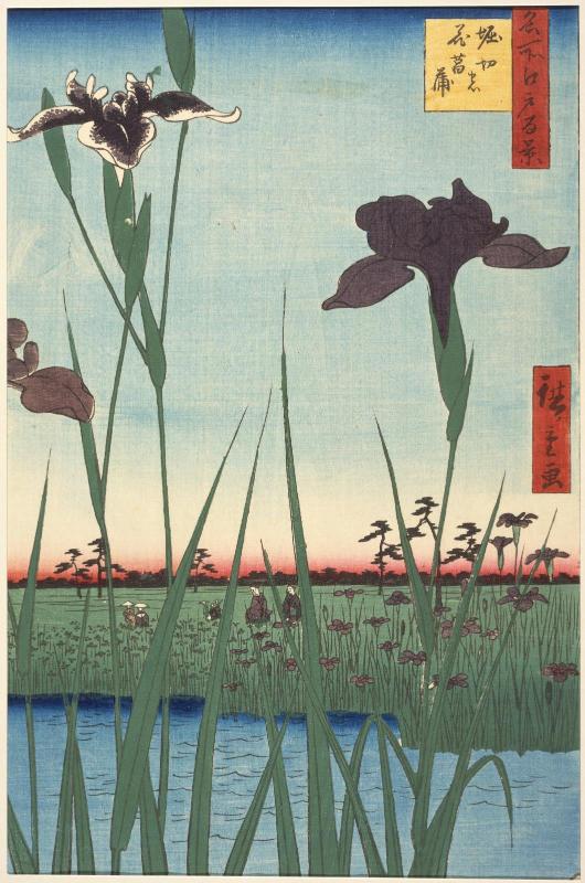 Horikiri Iris Garden (Horikiri no hanashôbu), from the series One Hundred Famous Views of Edo (Meisho Edo hyakkei)