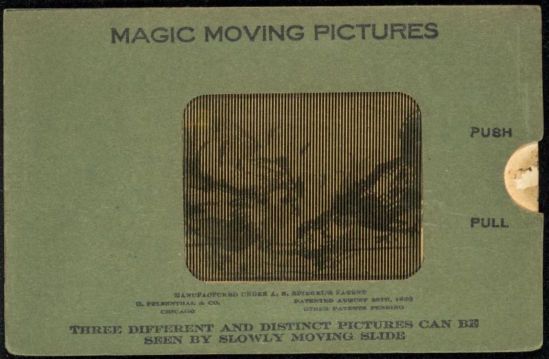 MAGIC MOVING PICTURES [Chickens]
THREE DIFFERENT AND DISTINCT PICTURES CAN BE SEEN BY SLOWLY MOVING SLIDE