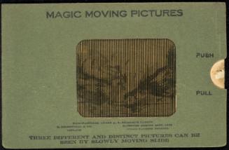 MAGIC MOVING PICTURES [Chickens]
THREE DIFFERENT AND DISTINCT PICTURES CAN BE SEEN BY SLOWLY MOVING SLIDE