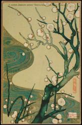 A modern Japanese picture "Ume no-hana" (The plum flower.)

