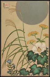 A modern Japanese picture "Autumn flowering Plants."

