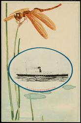 HARUBIN MARU

