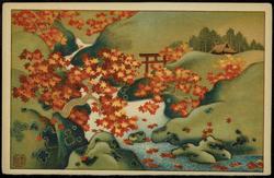 Autumn maple leaves in landscape.
