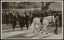 Jock, King George's favourite pony, follows his late Royal Master on His Majesty's last journey from Sandringham.

