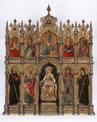 Conservation Status: Before Treatment