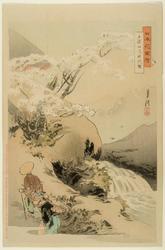 Ancient Cherry Tree in the Togakushi Mountains (Togakushiyama no jindaizakura), from the series Flowers of Japan, Illustrated (Nihon hana zue)
