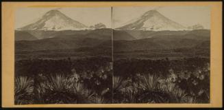 Volcano of Cotopaxi, from its base.