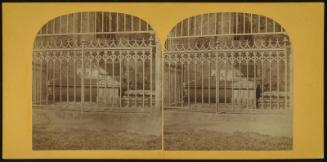 Dryburgh Abbey. Sir Walter Scott's Tomb