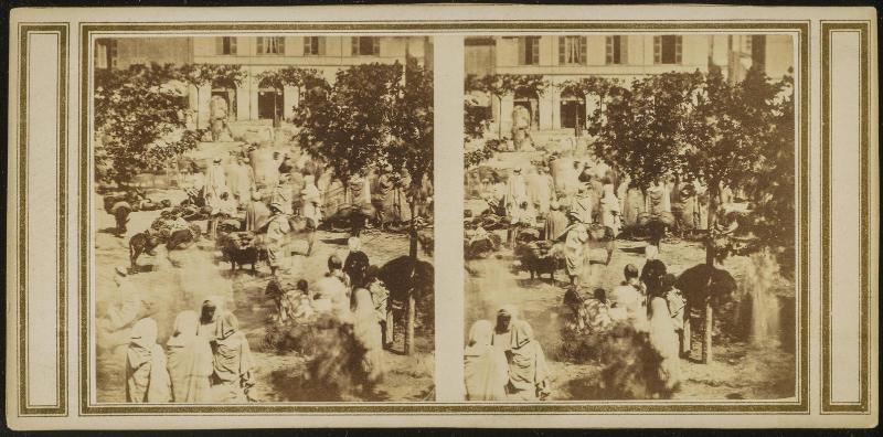 Marché de Blidah, Algérie