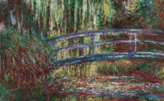 The Water Lily Pond