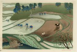 Rice Planting in Rain, from an untitled series of rural scenes