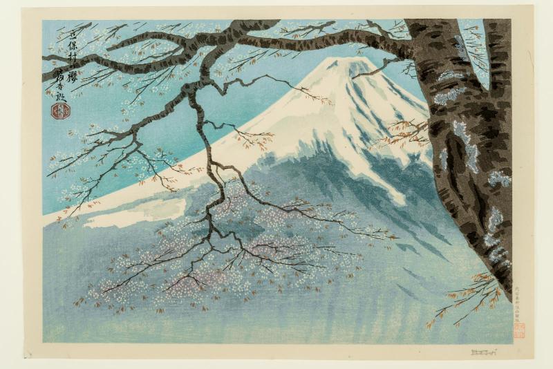 Cherry Blossoms at Tachibo (or Tateho) Village (Tachibomura no sakura), from an untitled series of views of Mount Fuji