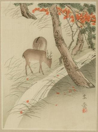Two Deer in Autumn Forest